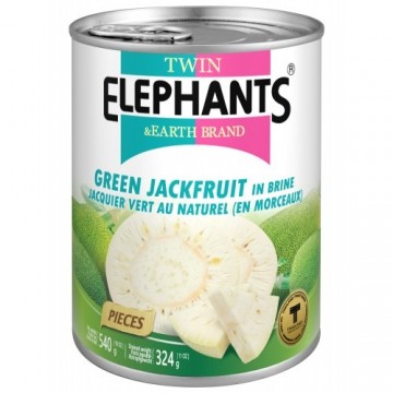 Twin elephant green jackfruit piece in brine 12x540g 500x500